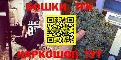 индика Партизанск