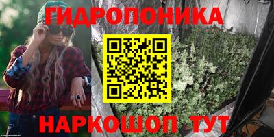 индика Первоуральск