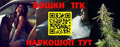 индика Партизанск