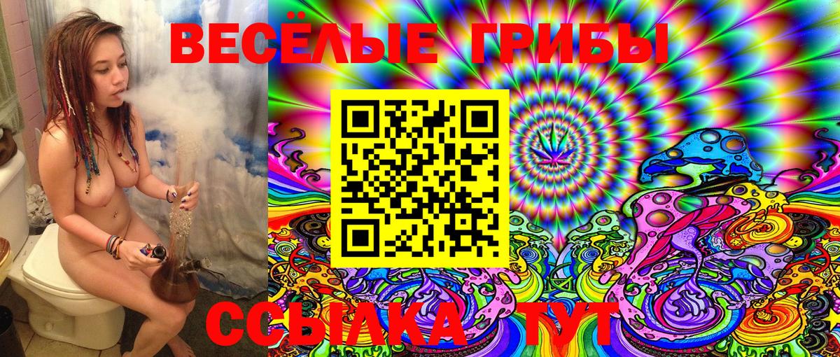 Галлюциногенные грибы Cubensis  Псилоцибиновые грибы Magic Shrooms  Топки  Вход с VPN 
