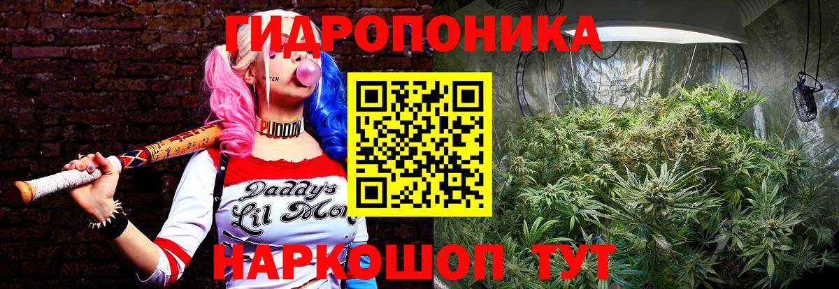 Каннабис конопля  Конопля сатива  Топки  Вход с VPN 